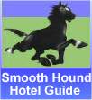 Smooth Hound