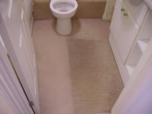 Regency Carpet
