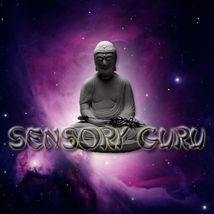 Sensory Guru