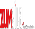  ZUMZILA ONLINE MULTI STORE 