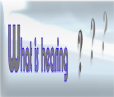  What is Hearing 
