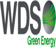  WDS Green Energy 