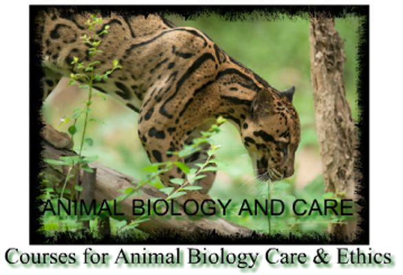 ANIMAL BIOLOGY AND CARE EDUCATION