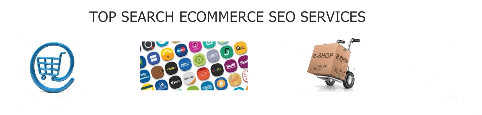 Ecommerce Seo Services For Website